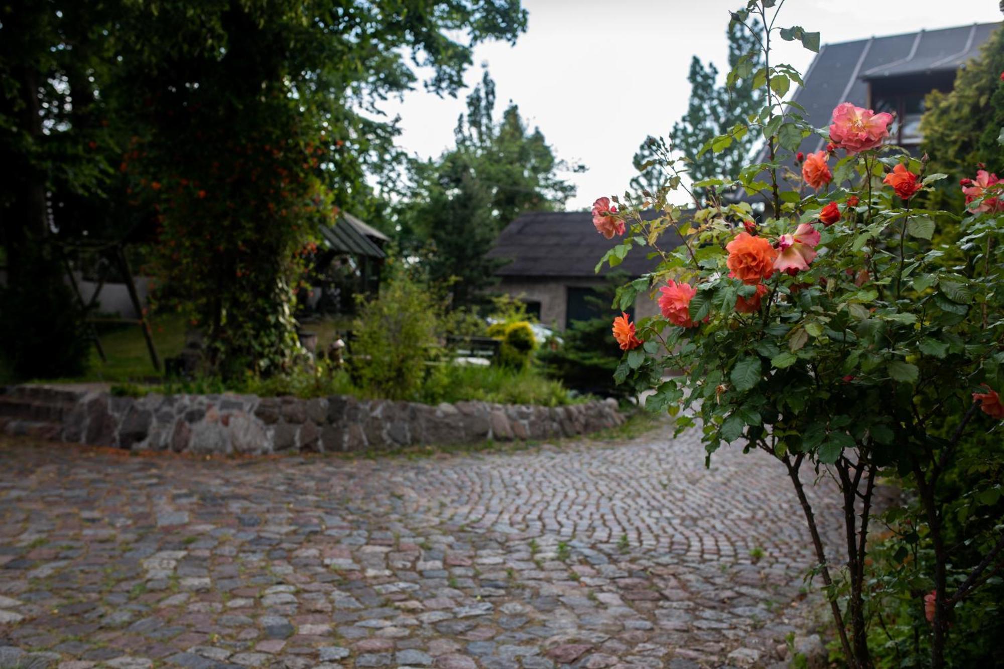 Mlynarzowy Dworek Gdynia Exterior photo